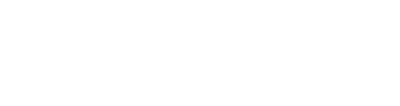 icido