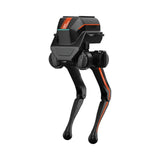 LimX TRON 1 point-foot configuration