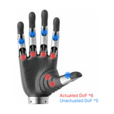 BrainCo Revo2 hand degrees-of-freedom diagram