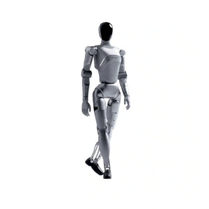 LimX Luna Interactive Humanoid Robot